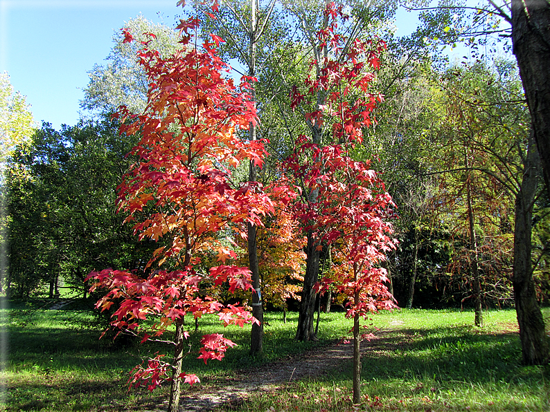 foto Oasi San Daniele